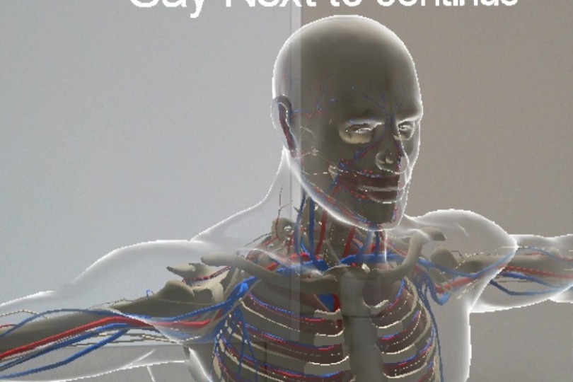 Visualisierung des Menschlichen Körper