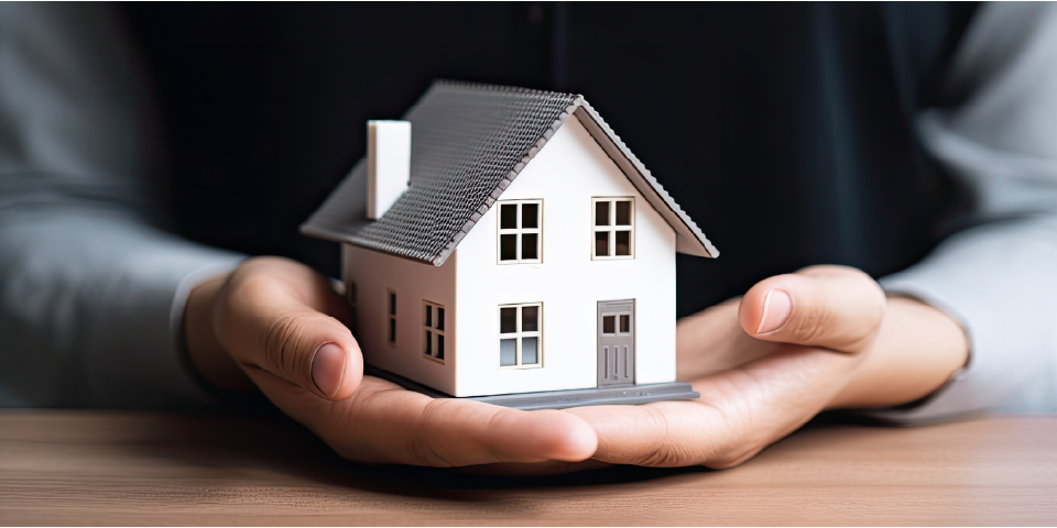 Custemer_softwear_assets-05